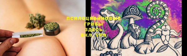 соль ск Алзамай