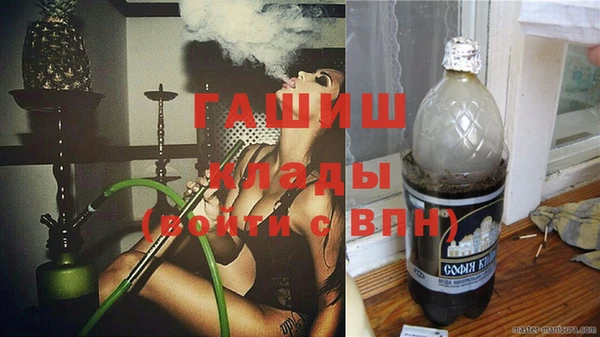 шишки Пересвет