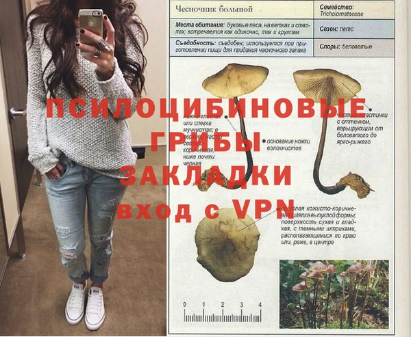 стафф Переславль-Залесский