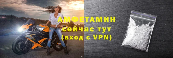 шишки Пересвет