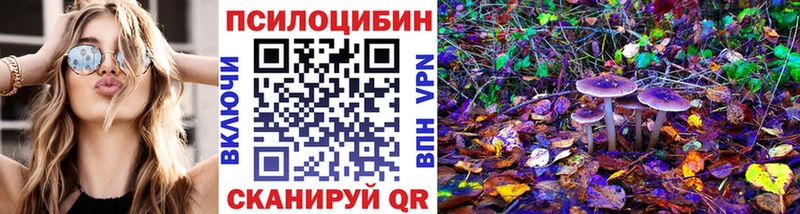 Псилоцибиновые грибы Cubensis Звенигово